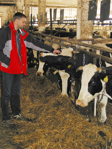 Toomas Pihu on veendunud, et piimakarjakasvatusel on potentsiaali ja sellesse tasub investeerida.