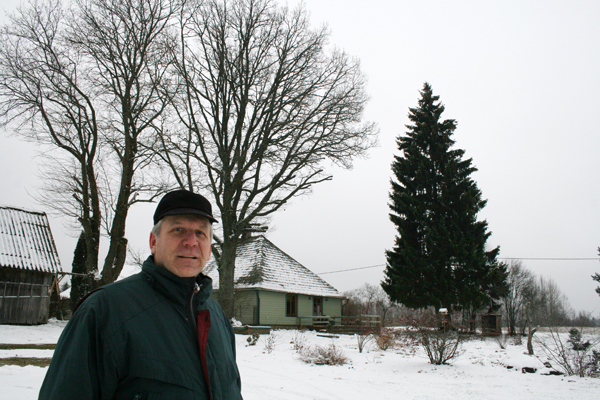 Ervin Tillemann ja tulevane Võru linna jõulupuu. Foto: VÕRUMAA TEATAJA