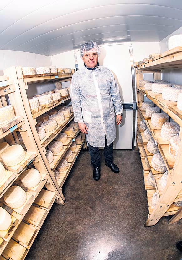 Ükski väljaanne ei ole saanud teha pilti Metsavenna talu juustukeldrist, mis mahutab umbes ühe tonni juustu.