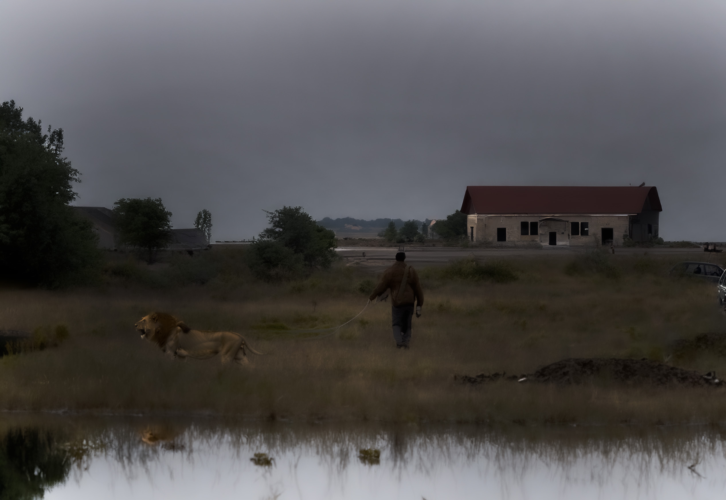 HARULDANE KAADER Võru valla elanik võitis kohtus riiki – ligi 100 lõvipoega jäävad talle alles