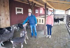 Misso valla noored hakkajad kitsepidajad Kermo Rannamäe ja Linda Pajo oma hoolealustega. Foto: Võrumaa Teataja