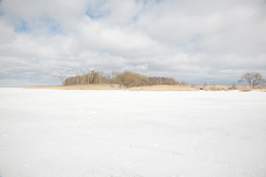Saar meenutab eemalt metsasalu keset järve.  Foto: INNO TÄHISMAA