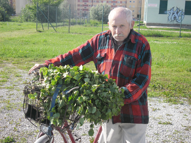 Vihameister Nikolai Kalinin teab, et praegu on päramine aeg endale viht teha või muretseda.	Foto: AIVE HANSI