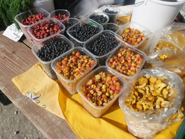 Laupäeval võis Võru turult juba murakaid leida. Foto: AIVE HANSI