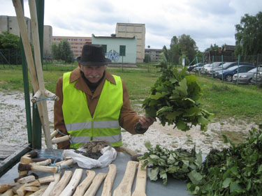 Nikolai Peetrimõisast, kes on teinud saunavihtu juba 60 aastat, näitab tammevihta, mis sobib hästi meestele. Foto: IRJA TÄHISMAA