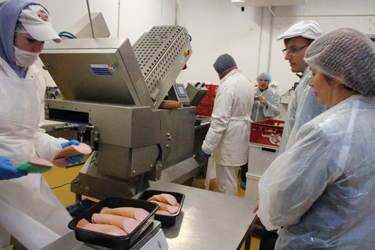 Arke lihatööstuses käib vorstide pakendamine soojades riietes, sest ruumides on nelja-viiekraadine temperatuur.     Foto: Võrumaa Teataja