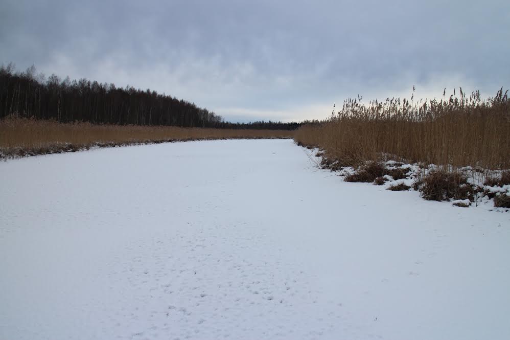 Ligikaudne koht Tamula ja Vagula järve vahel Vahejõel, kust leiti pühapäeval jää pealt mehe surnukeha.  FOTO: Inno Tähismaa