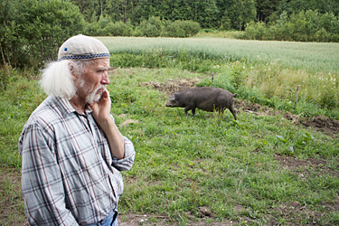 Haanja talupidaja Agu Hollo on murelik, sest peab seni välipidamisega sead lauta ajama. Foto: INNO TÄHISMAA