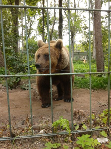 Foto: Aigar Nagel