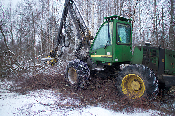 Harvester metsas Meremäe vallas Miikse ligidal lõikamas sisse kümne meetri laiust piirisihti. Foto: Võrumaa Teataja