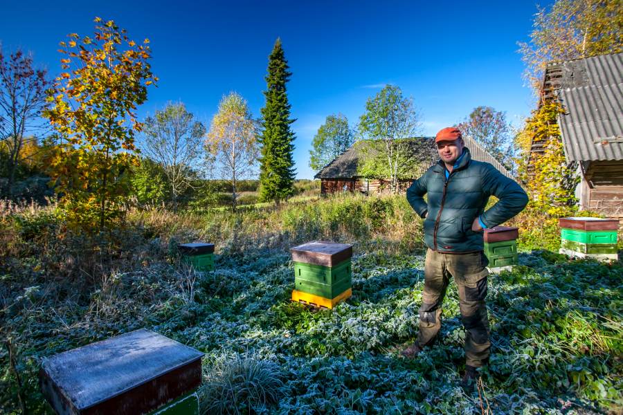 Mario Kalvet eile hommikul oma Heibri külas asuvate mesilaste juures. 	Foto: ANDREI JAVNAŠAN