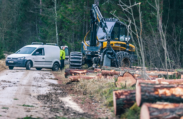 Võrumaa eelmise aasta metsaraie kogumaht on ametlikel andmetel 0,91 miljonit tihumeetrit. Foto: ANDREI JAVNAŠAN