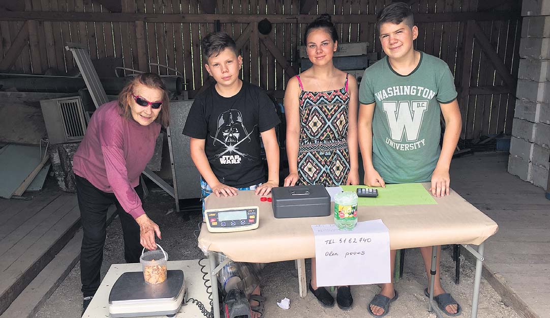 Kreutzwaldi tänaval kalapoe tagahoovis asuva kokkuostupunkti abivalmis seltskond eile keskpäeval toimkonna vahetuse ajal. Paremalt Emil, Anastasija ja David. Oma saaki kaalub Ljudmilla. Foto: KADI ANNOM