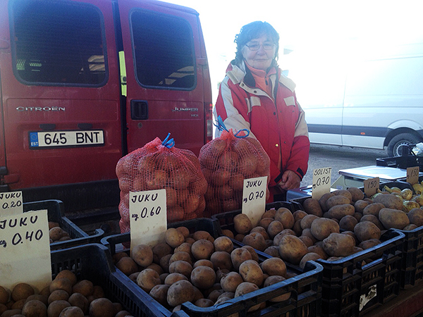 Külli Sarapuu pakkus kartuleid hinnavahemikus 20–70 senti. 20sendised kartulid „Juku” pidid ideaalselt sobima pudru jaoks. Foto: VÕRUMAA TEATAJA