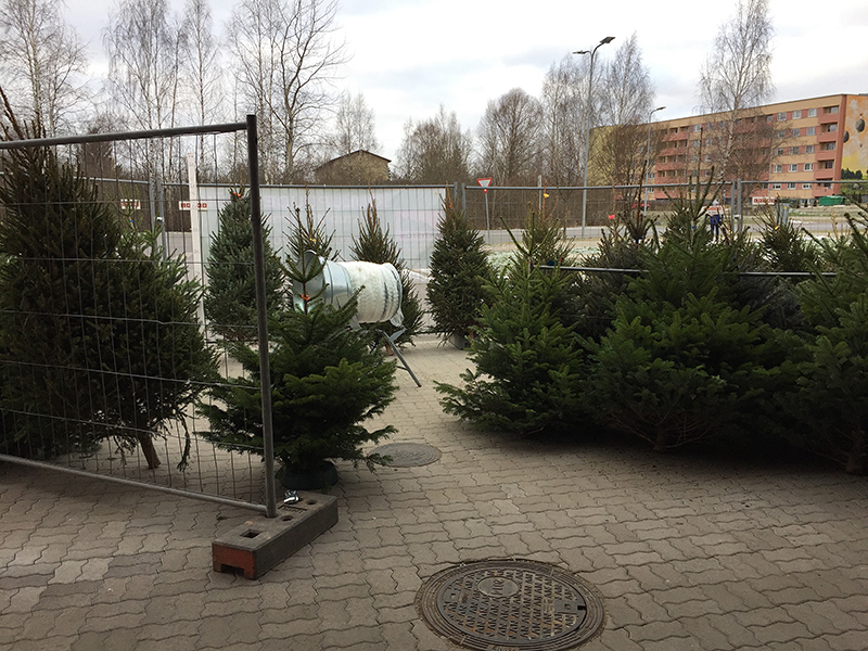 OÜ Artiston müüb Võru linnas jõulupuid teist aastat. Mida lähemale jõuab jõululaupäev, seda suurem on ostmine. OÜ Artiston müügiplats Võrus Maksimarketi parklas. Foto: KADI ANNOM