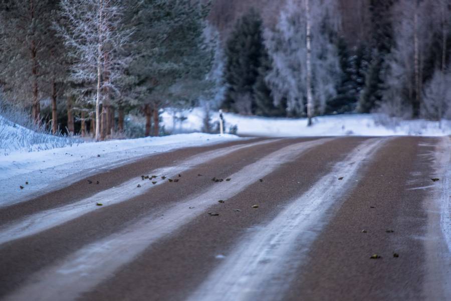 FOTO: Andrei Javnašan Võrumaa Teataja