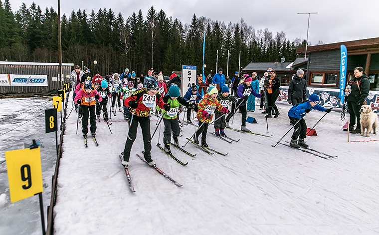 Laste starti hindab täie tõsidusega fotol paremal olev koer. Foto: ANDREI JAVNAŠAN