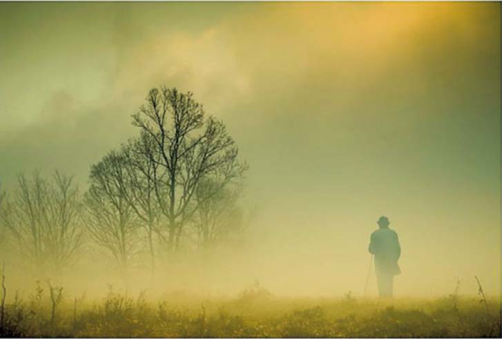 Ainus teadaolev foto Kiidi männikus redutavast saladuslikust mehikesest. Foto: HAN-HENDRIK PIHO