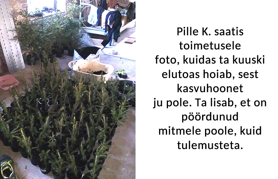 Võrumaa Teataja