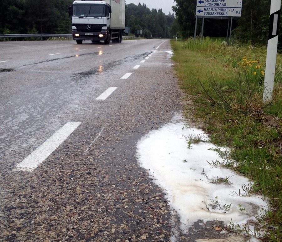 Pildil: 27. juuli homikul kell 9 oli Haanjas tee ääres suured vahulombid (esiplaanil).