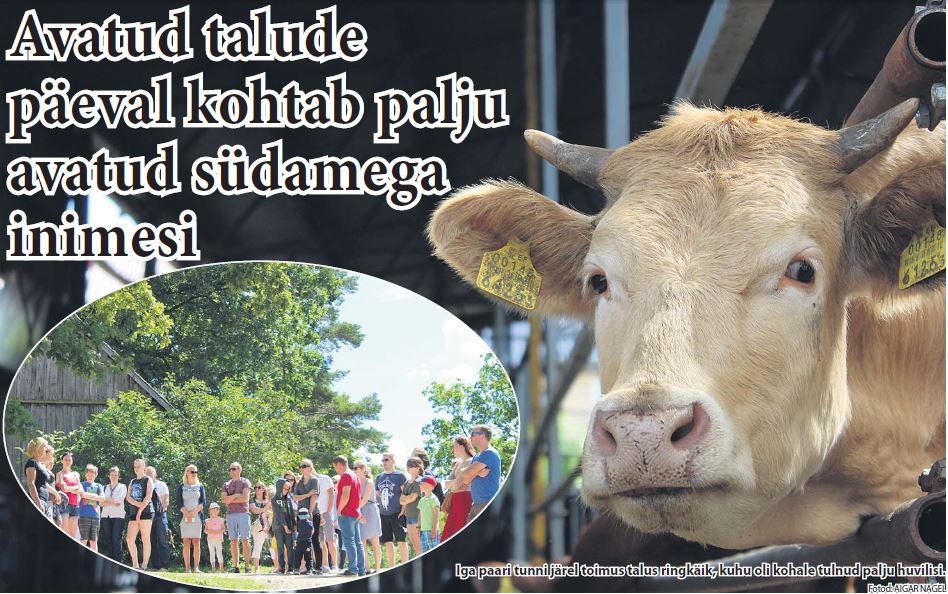 FOTOD: Aigar Nagel