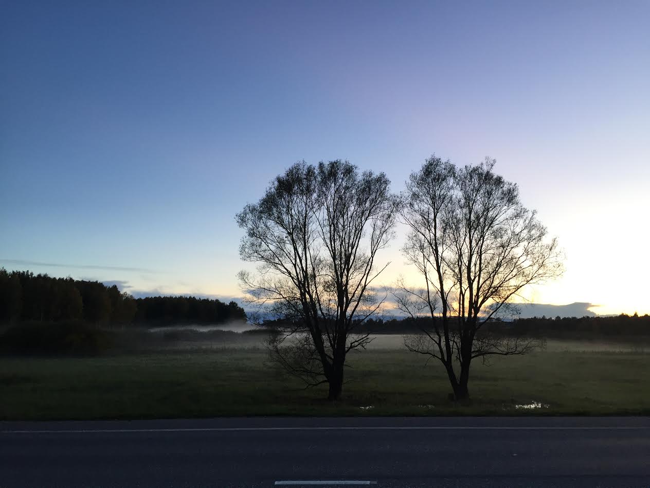 FOTO: Kadi Annom