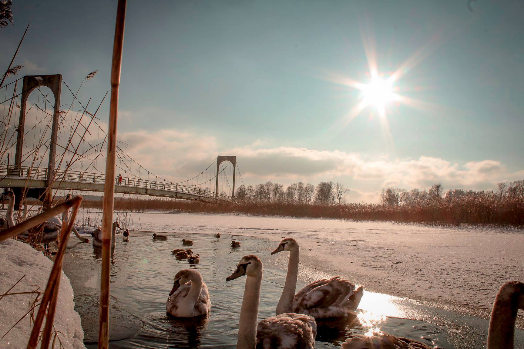22.02.2018 FOTO: Aigar Nagel 22.02.2018 FOTO: Aigar Nagel