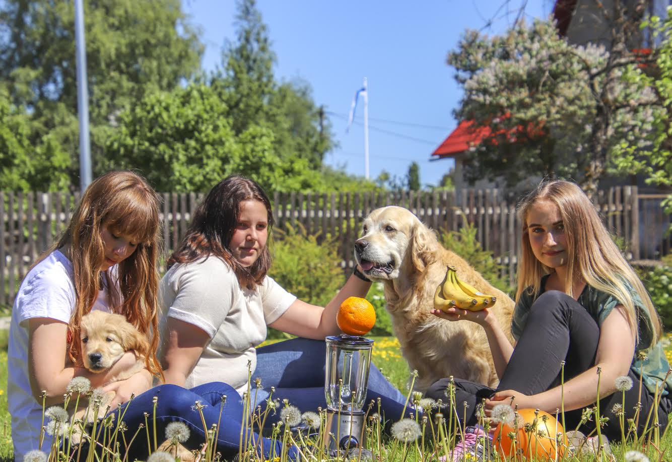 Kerttu, Janna ja Diandra paar päeva enne laada algust. Tüdrukutel on veidi närv sees, et kas ostjaid ikka jagub ja ega smuuti hind liiga kõrge ole. Fotod: AIGAR NAGEL