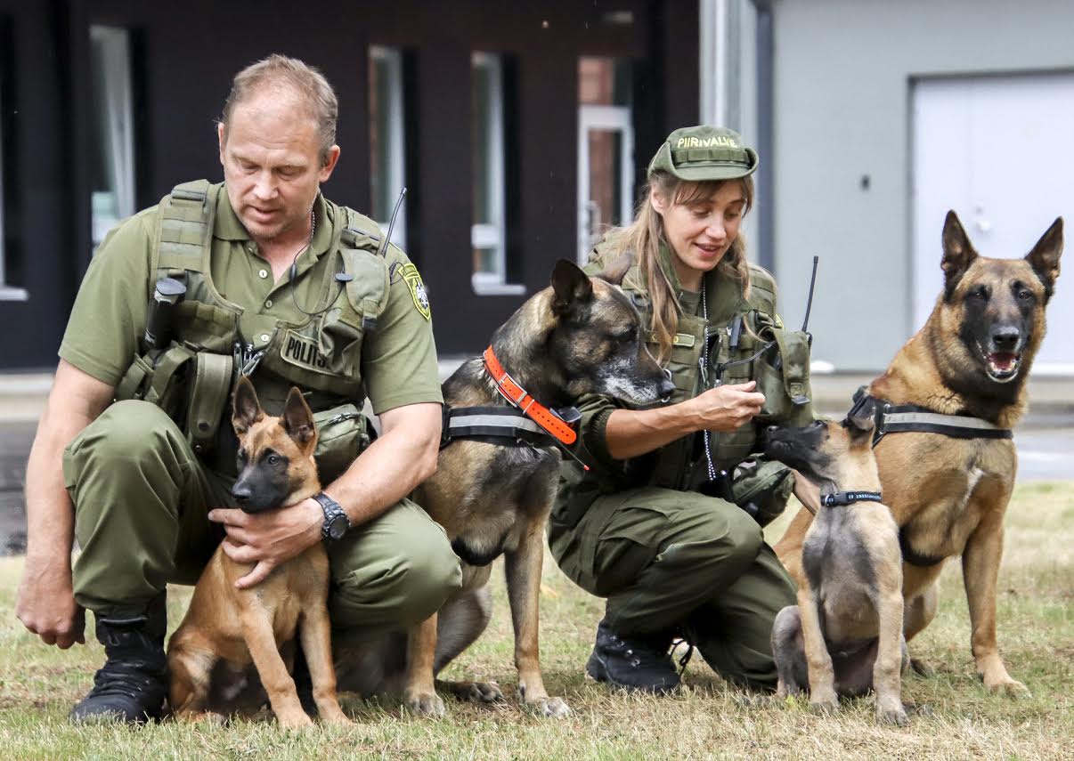 Piirivalvurite perekond sai koerajuhtidena täiendust kahe piirivalvekutsikaga. Piirivalvurite peres kasvavad ka kogemustega teenistuskoerad Felix ja Aron. Foto: AIGAR NAGEL Piirivalvurite perekond sai koerajuhtidena täiendust kahe piirivalvekutsikaga. Piirivalvurite peres kasvavad ka kogemustega teenistuskoerad Felix ja Aron. Foto: AIGAR NAGEL