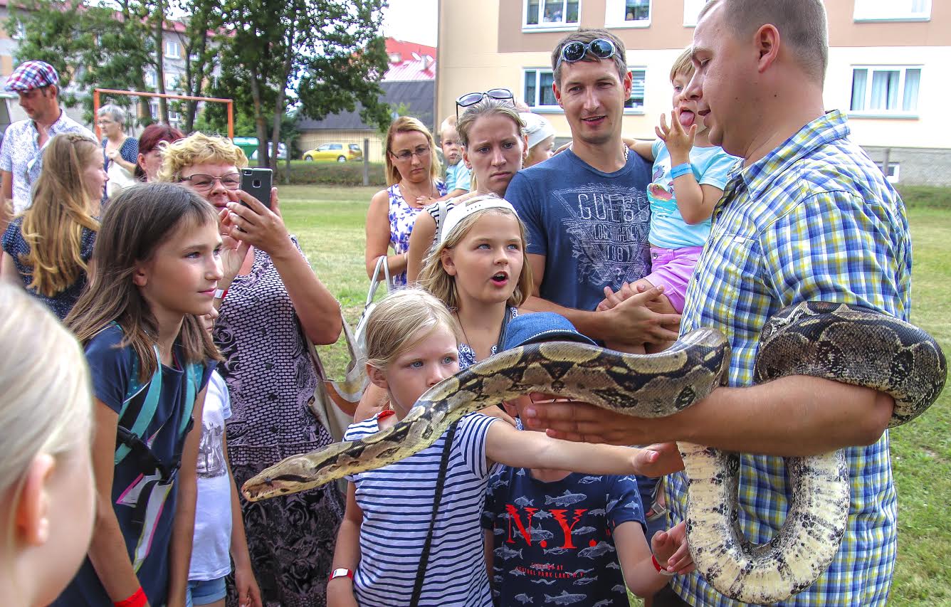 „Maotaltsutaja” Ainar oma sõpru tutvustama. Huvilisi kogunes tema ümber nagu pisikesi sipelgaid. Foto: AIGAR NAGEL „Maotaltsutaja” Ainar oma sõpru tutvustama. Huvilisi kogunes tema ümber nagu pisikesi sipelgaid. Foto: AIGAR NAGEL