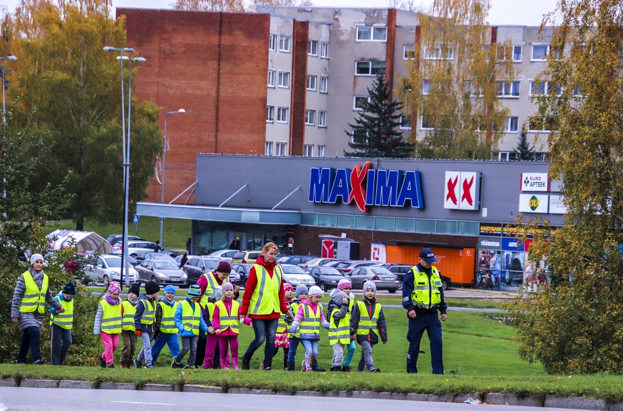 Punamütsikese lasteaia koolieelikud olid jagatud kahte gruppi. Liiklust õpiti samal ajal, üks grupp ühel ja teine teisel pool sõiduteed. FOTOD: Aigar Nagel Punamütsikese lasteaia koolieelikud olid jagatud kahte gruppi. Liiklust õpiti samal ajal, üks grupp ühel ja teine teisel pool sõiduteed. FOTOD: Aigar Nagel