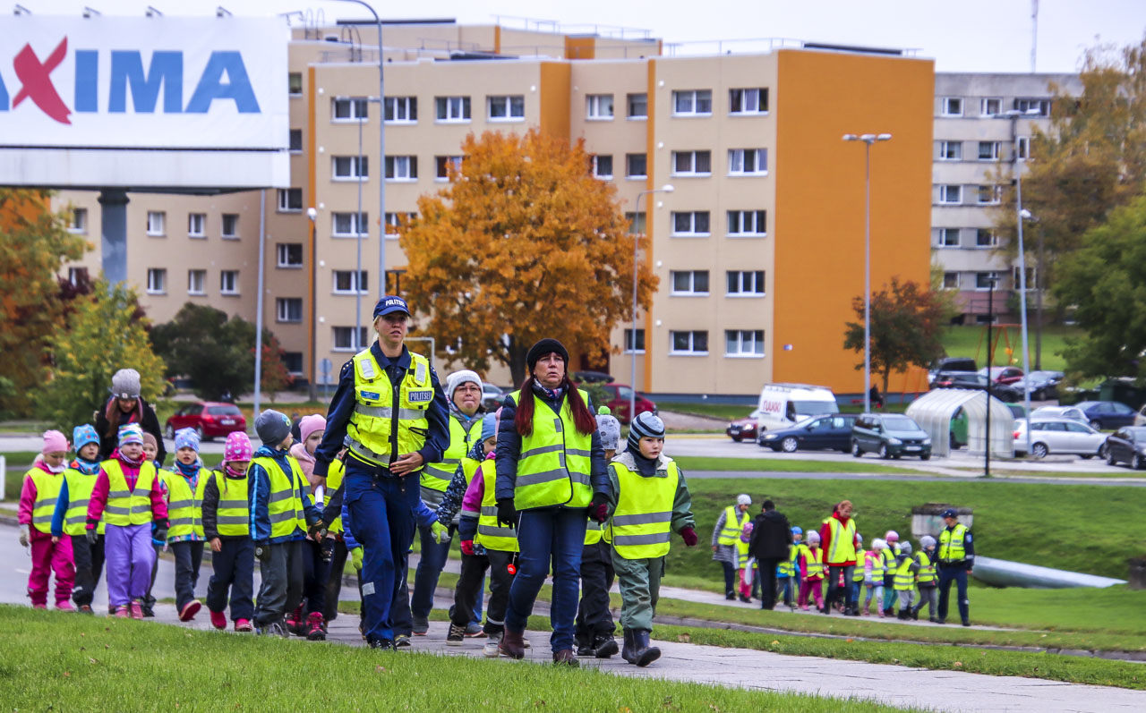Punamütsikese lasteaia koolieelikud olid jagatud kahte gruppi. Liiklust õpiti samal ajal, üks grupp ühel ja teine teisel pool sõiduteed. FOTOD: Aigar Nagel Punamütsikese lasteaia koolieelikud olid jagatud kahte gruppi. Liiklust õpiti samal ajal, üks grupp ühel ja teine teisel pool sõiduteed. FOTOD: Aigar Nagel