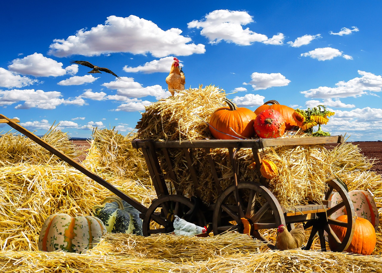 Foto on illustratiivne FOTO: pixabay