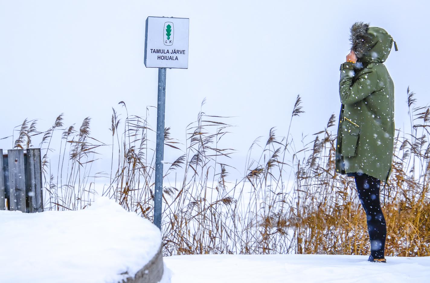 Võru linnas on üheks toetust saavaks objektiks Tamula järve kalastusplatvorm, mille rajamiskuludest tasub keskkonnainvesteeringute keskus 15 125 eurot. Foto: AIGAR NAGEL Võru linnas on üheks toetust saavaks objektiks Tamula järve kalastusplatvorm, mille rajamiskuludest tasub keskkonnainvesteeringute keskus 15 125 eurot. Foto: AIGAR NAGEL