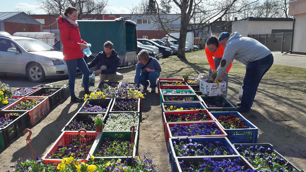 Lilleturul käis kibe kauplemine ning aiasõbrad valisid kaunemaid õisi. FOTO: Sten Sang