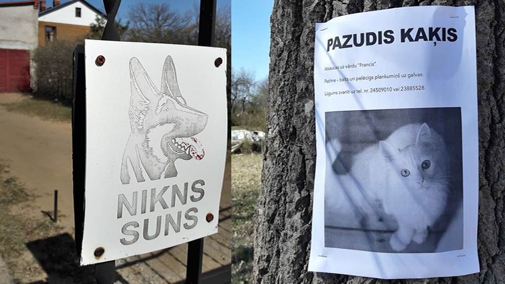 Kurjad koerad ja kadunud kassid näisid olevat lõunanaabrite seas levinud trend. Fotod: ERAKOGU