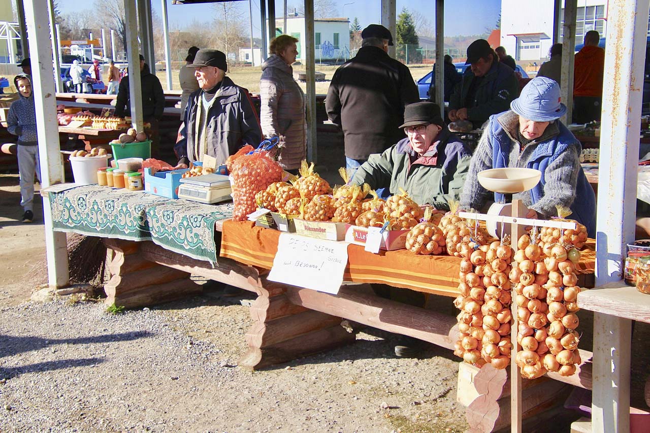Seemnesibulad maksid viis-kuus eurot kilo. Foto: VÕRUMAA TEATAJA