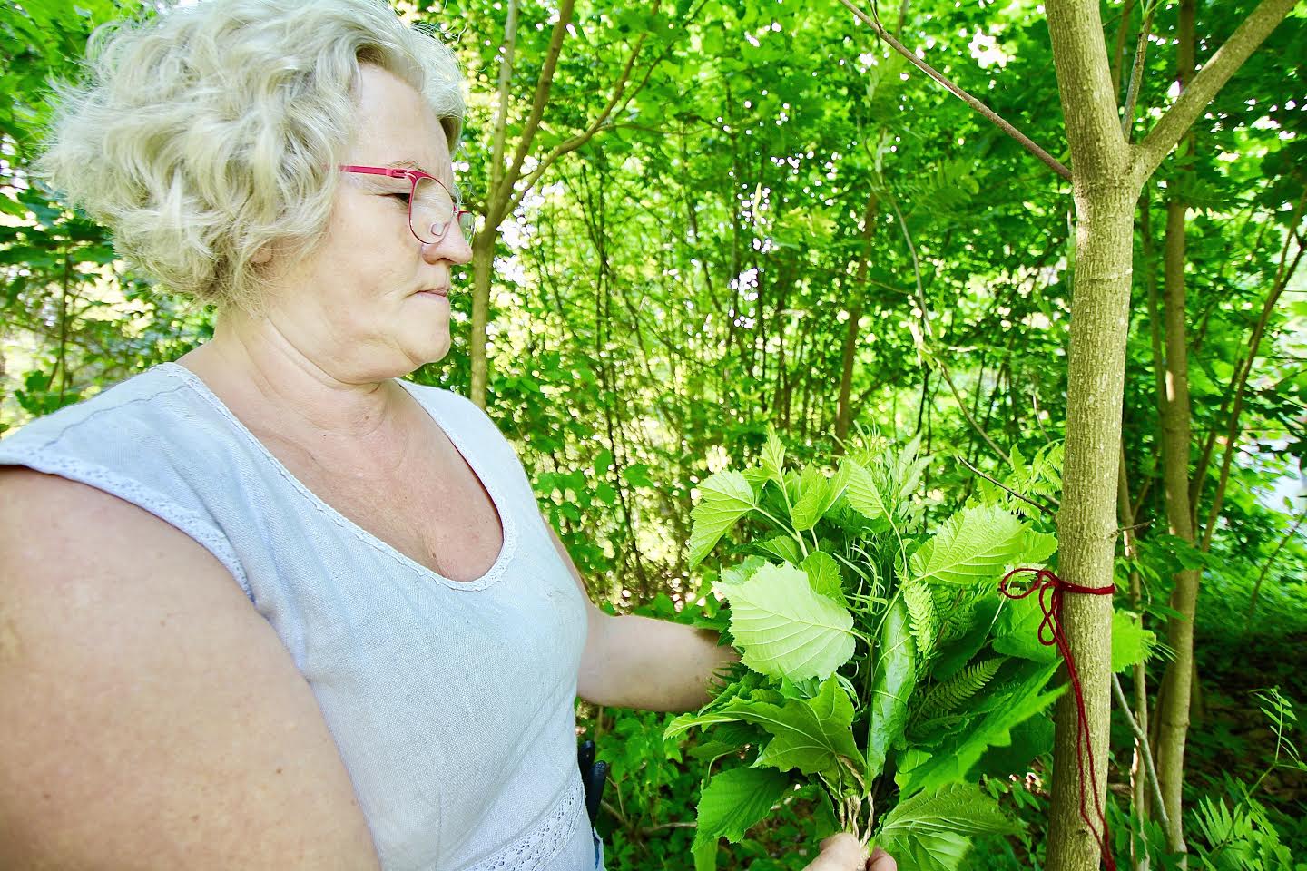 Suitsusauna teadjanaine Eda Veeroja Mooska talu metsas vihta komplekteerimas ja puu külge villast lõngakest sidumas. „Kui lähed midagi metsast võtma, siis pead ka vastu andma,” seletab ta lõnga sidumise kohta. Oma esimese viha tegi teadjanaine kahe-kolmeaastaselt. Foto: KALEV ANNOM