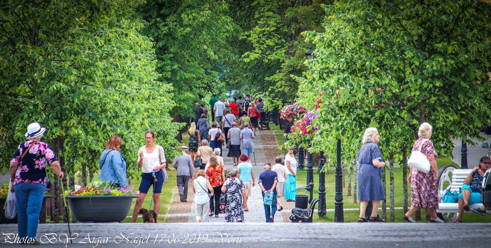 Võru Katariina allee FOTO: Aigar Nagel