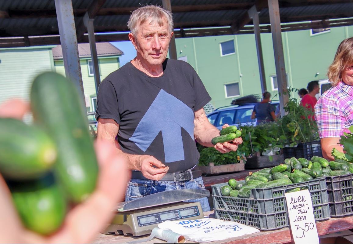 Metsatalu peremees Vello Kramp müüb oma talu kurke juba aastaid. FOTOD: Aigar Nagel