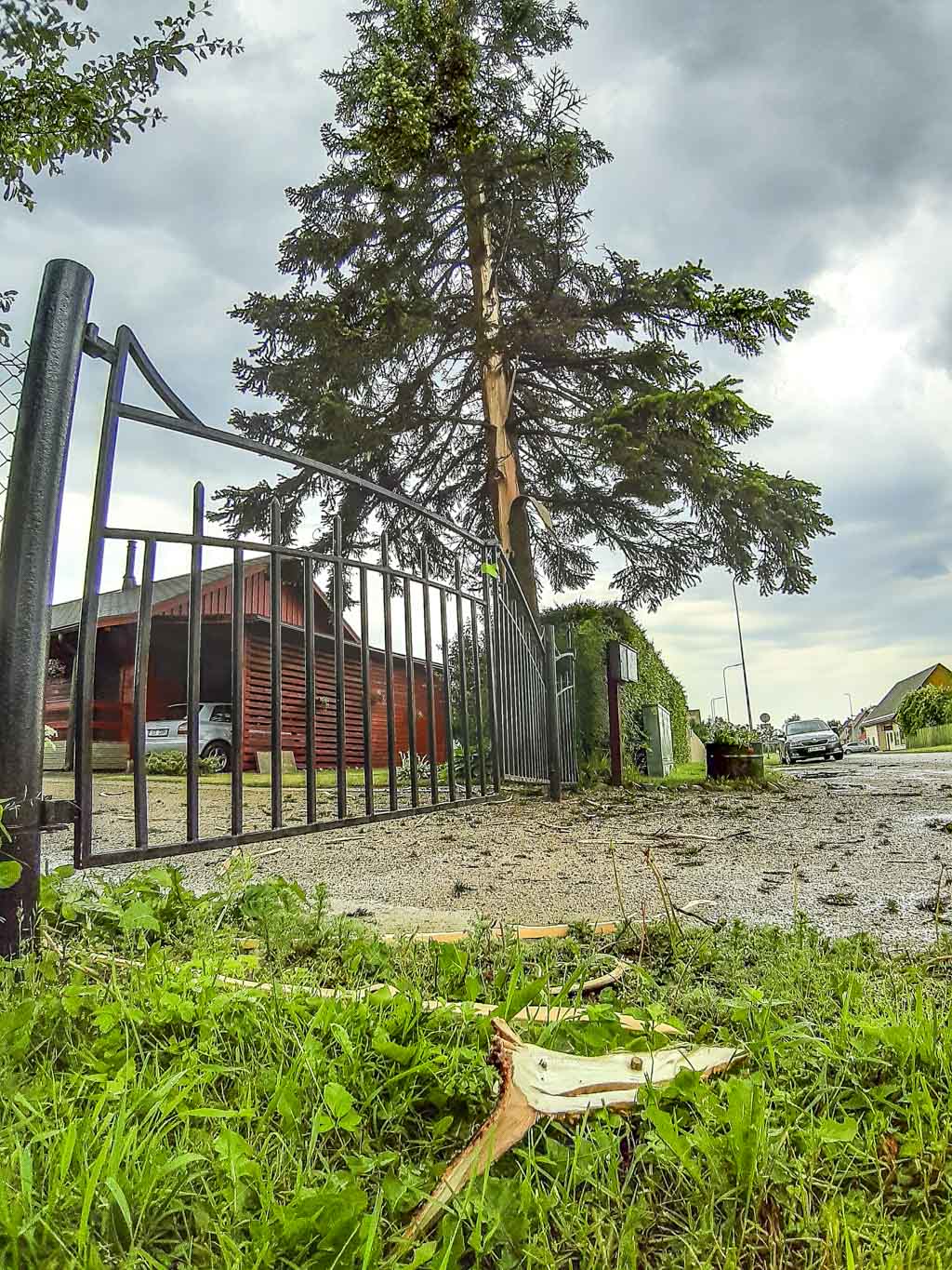 FOTOD: Aigar Nagel