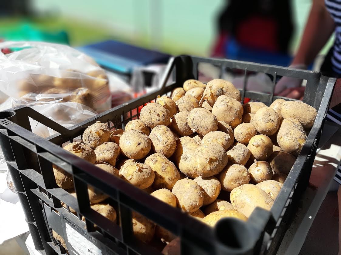 Järve talu perenaine saagi üle ei kurda ja on õnnelik, et vihma on natuke tulnud ning pole pidanud põldudel kastmas käima. Foto: AIGAR NAGEL