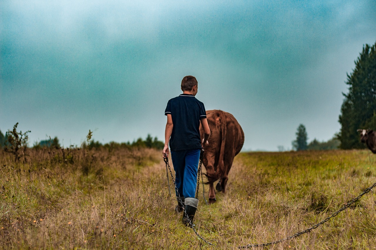 Avatud talude päev kutsub talusid osalema