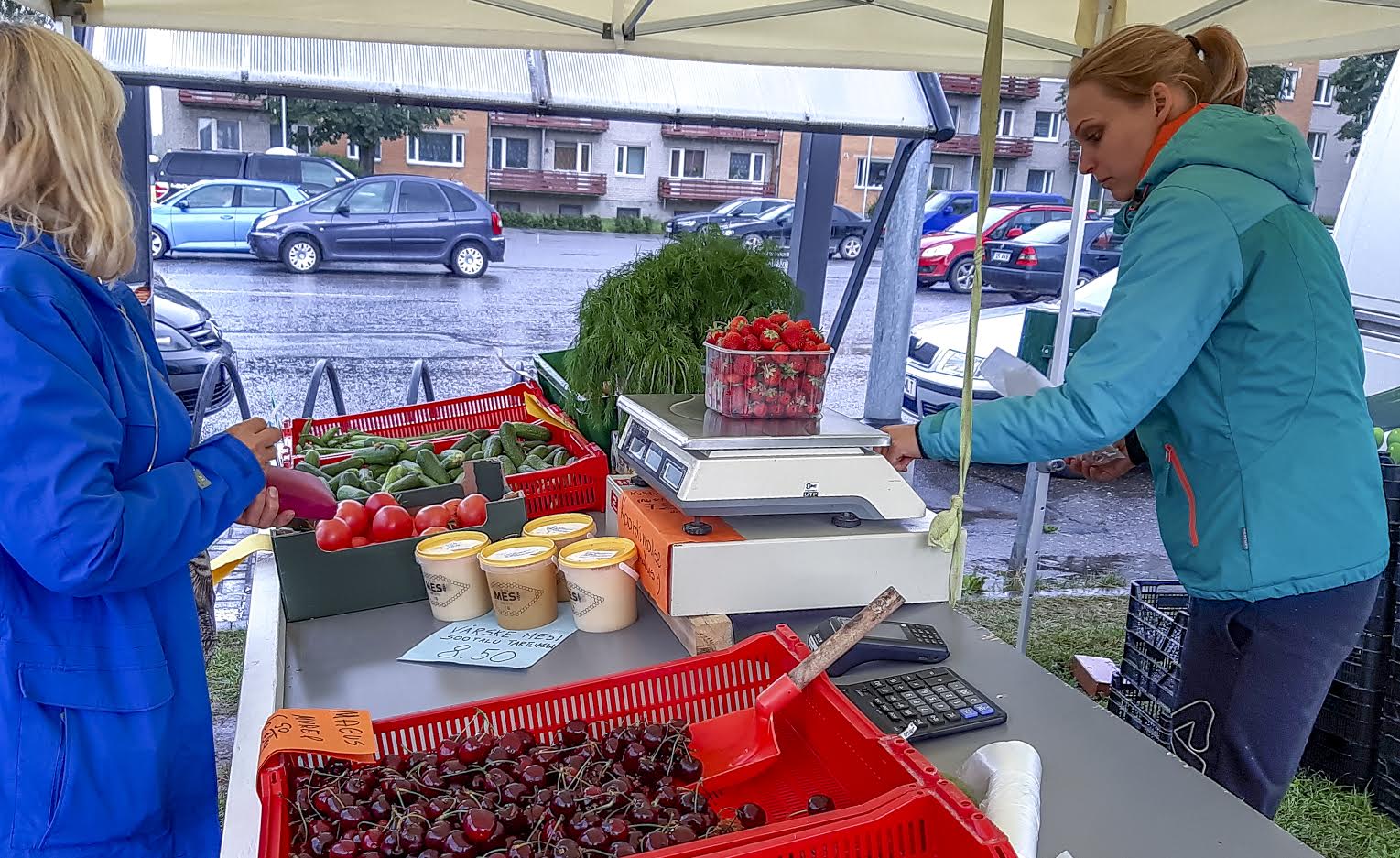 Kesklinnas saab värsket talukaupa osta näiteks Tasuja talu käest. FOTO: Aigar Nagel