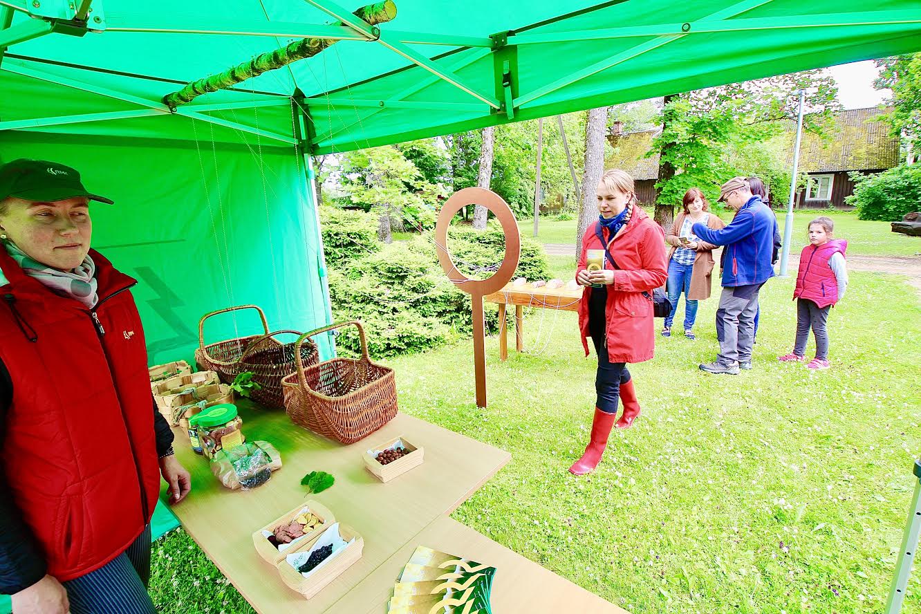 Metsa-aarete päeva avamine Pähnil neljapäeva pärastlõunal kell kaks. Pildil vasakul RMK teabetöötaja Kati Liibert Kiidjärvelt. Keskel Mari Kalkun ja tagapool Heino Pallnkoos Sofia ja Katjaga Pihkvast ning Oksanaga Valgast. Foto: KALEV ANNOM