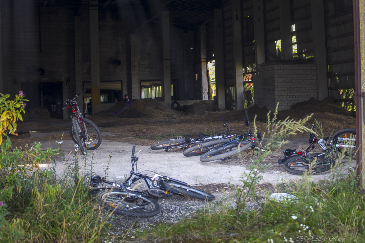 Kella 16 ajal kestsid järelkustutustööd. Fotod: AIGAR NAGEL
