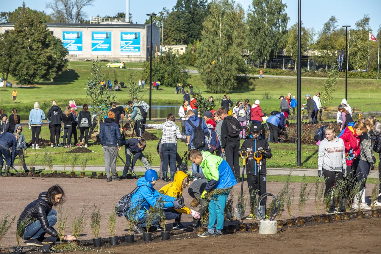 FOTO: Aigar Nagel