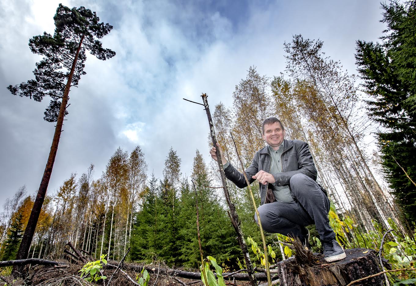 Metsakonsulendi ja metsaomanikuna teab Aarne Volkov väga hästi, kuidas tuleb metsa majandada ning jagab igakülgset nõu ka teistele Võrumaa metsaomanikele. Oma metsakinnistul on tal valgustuspuhastus tehtud kaks ringi: neli aastat tagasi ja nüüd, eelmisel nädalal. Metsakinnistul on oluline vältida ka puhtpuistuid ehk ühe puuliigi valdavat kasvuala. Puhtpuistust on võimalik hoiduda hooldusraietega. Foto: AIGAR NAGEL