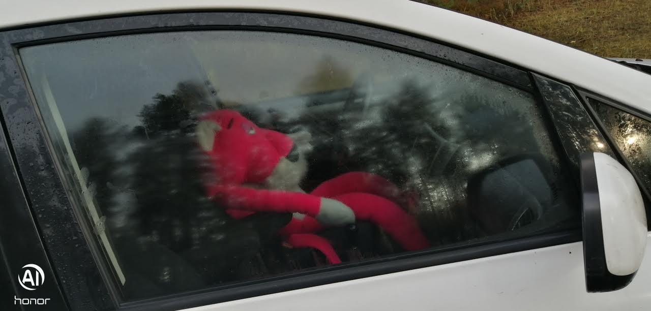 Laadakoha nimel võetakse kasutusele kõikvõimalikud mänguvahendid või siis nauditakse õhtuseid päikeseloojanguid. LUGEJA FOTO Laadakoha nimel võetakse kasutusele kõikvõimalikud mänguvahendid või siis nauditakse õhtuseid päikeseloojanguid. LUGEJA FOTO