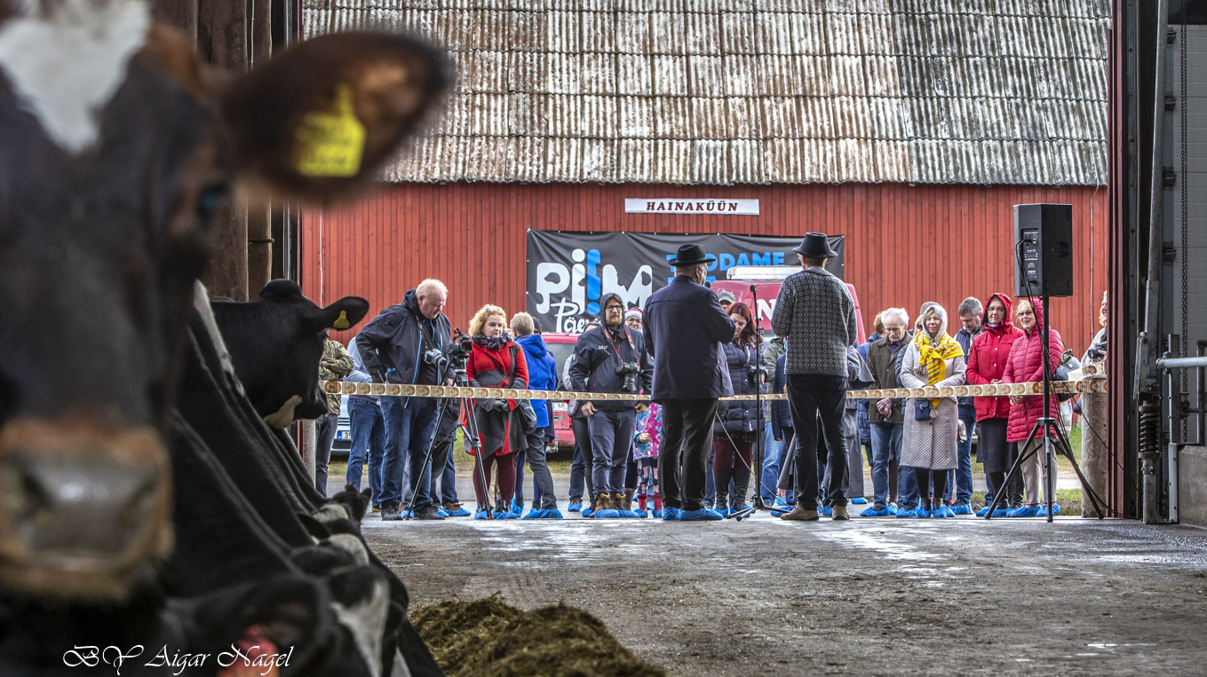 FOTOD: Aigar Nagel